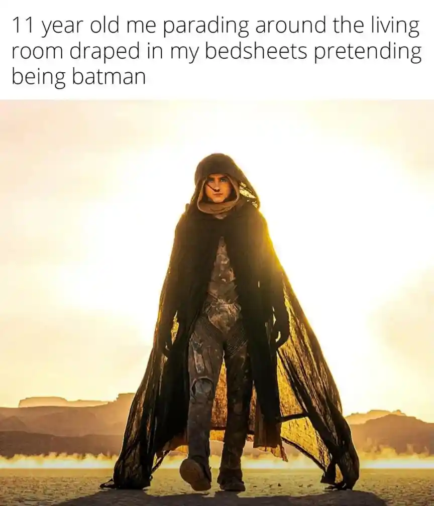 11 year old batman meme parading in living room