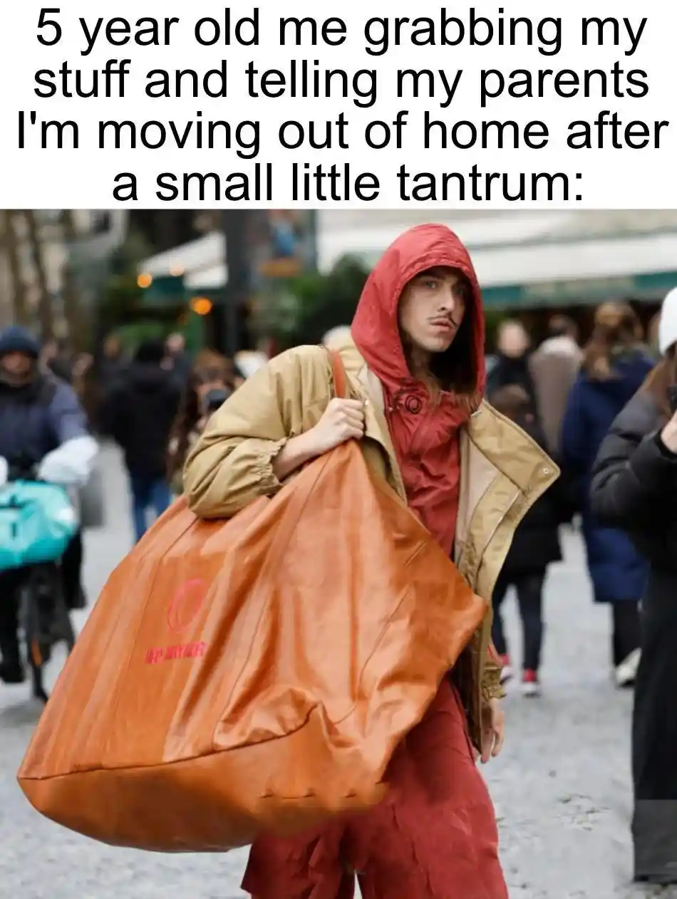 Kid tantrum moving out meme with big bag
