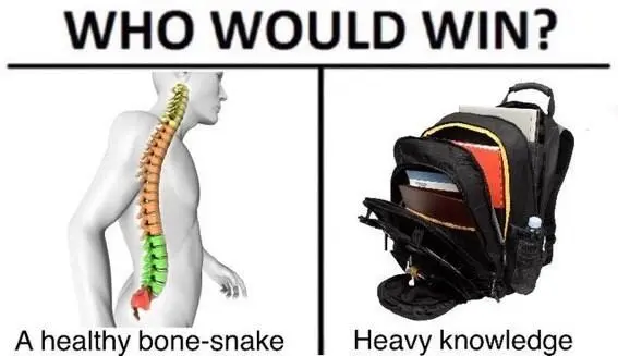 Spine vs heavy knowledge meme