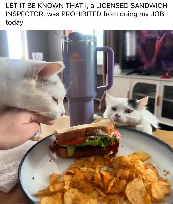 Sandwich inspector meme barred from work