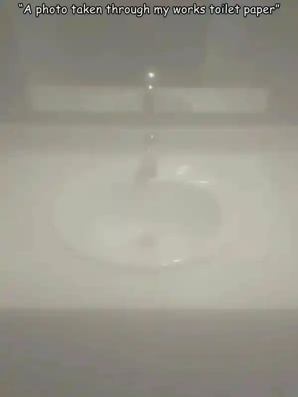 Work toilet paper meme blurry sink photo