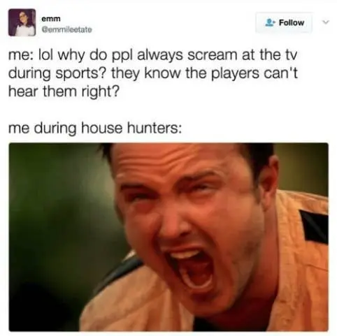 Aaron paul screaming meme yelling at tv watching house hunters