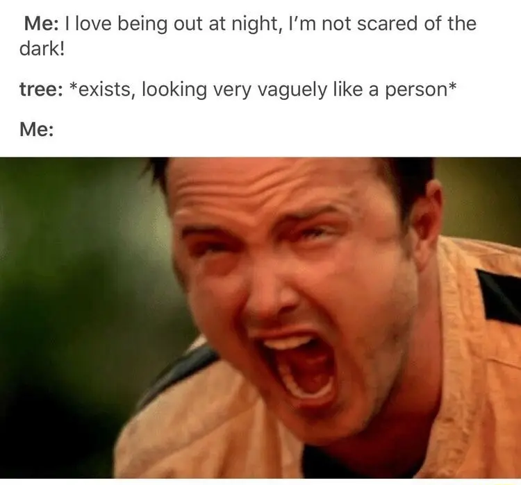 Aaron paul screaming meme scared by weird night tree