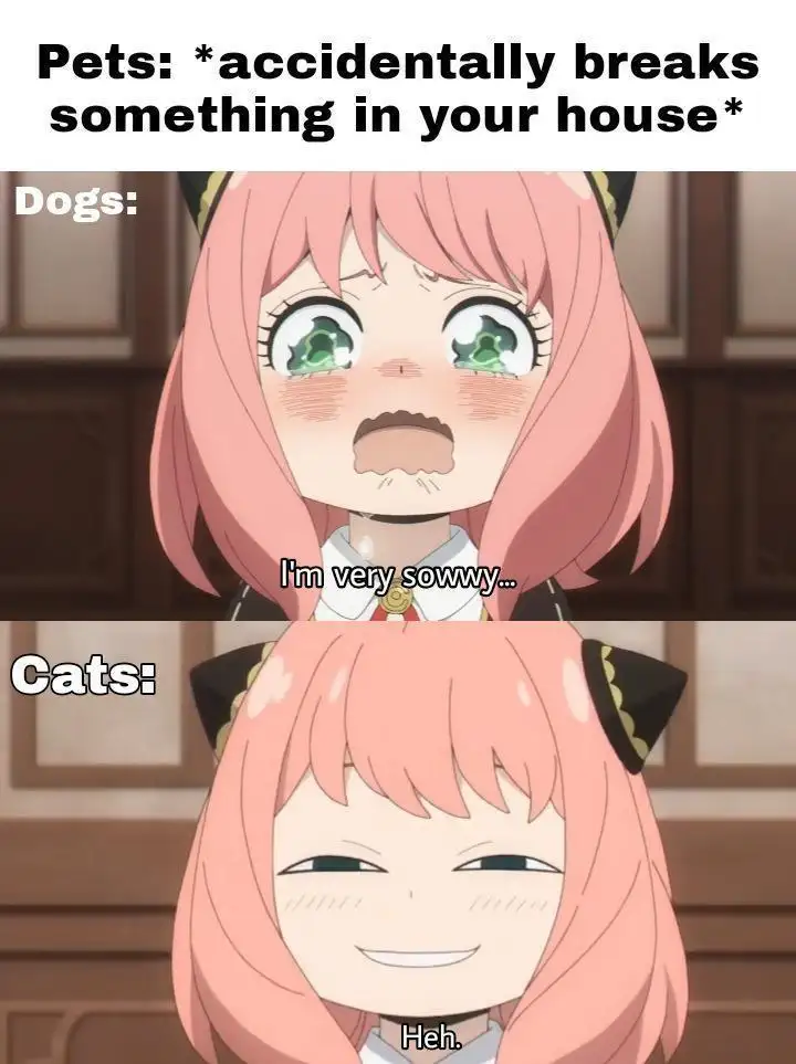 Anya pets meme dogs sorry cats smug