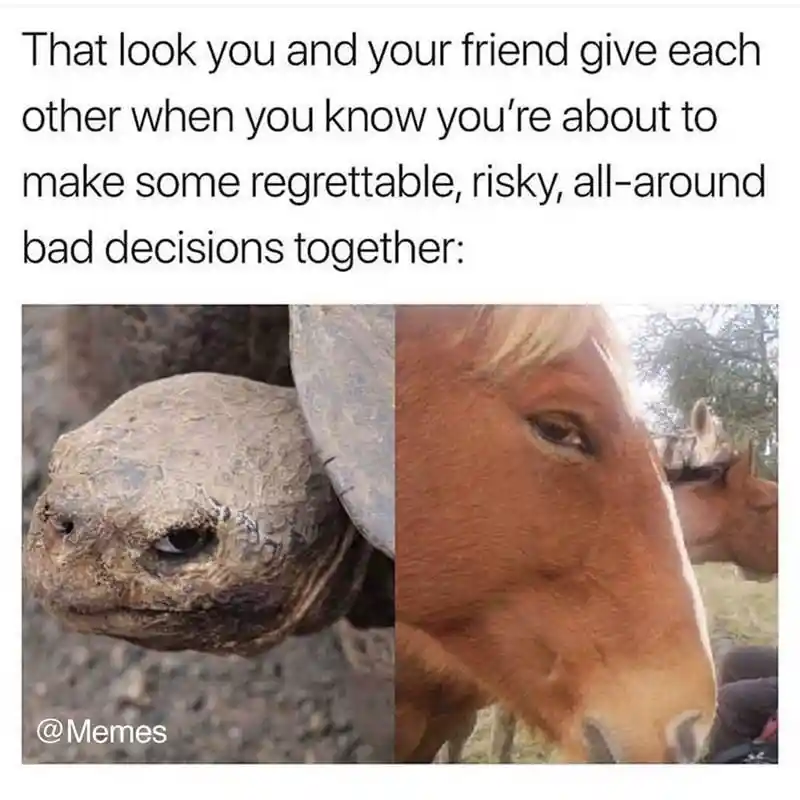 Friends bad move meme giving shady look