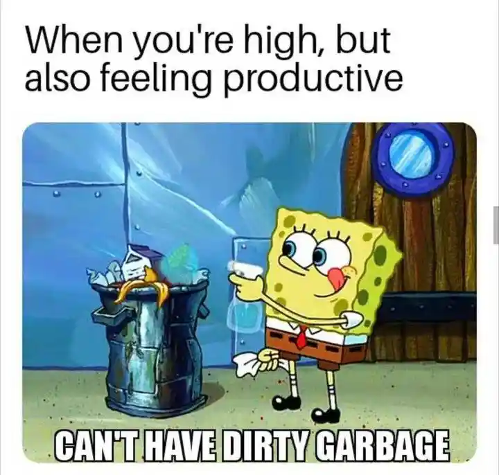 Spongebob high meme cleans dirty garbage