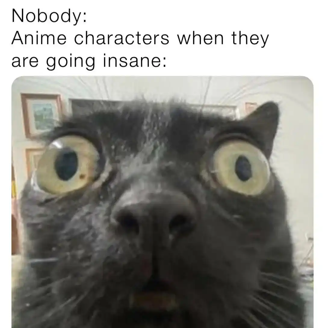 Crazy anime character meme wide eyed cat