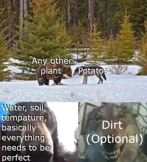 Potato meme others need perfect care dirt optional