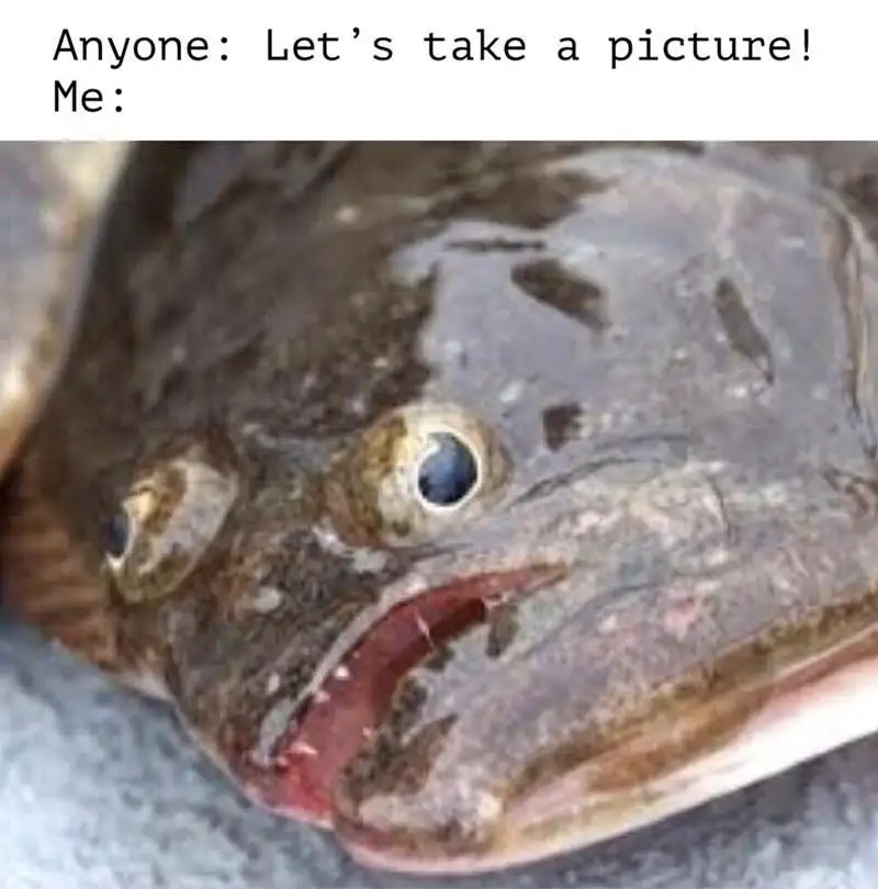 Ugly fish face meme looks bad for photo