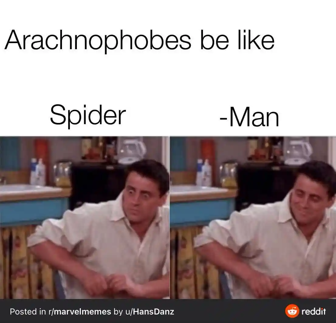 Arachnophobes spiderman meme funny joke