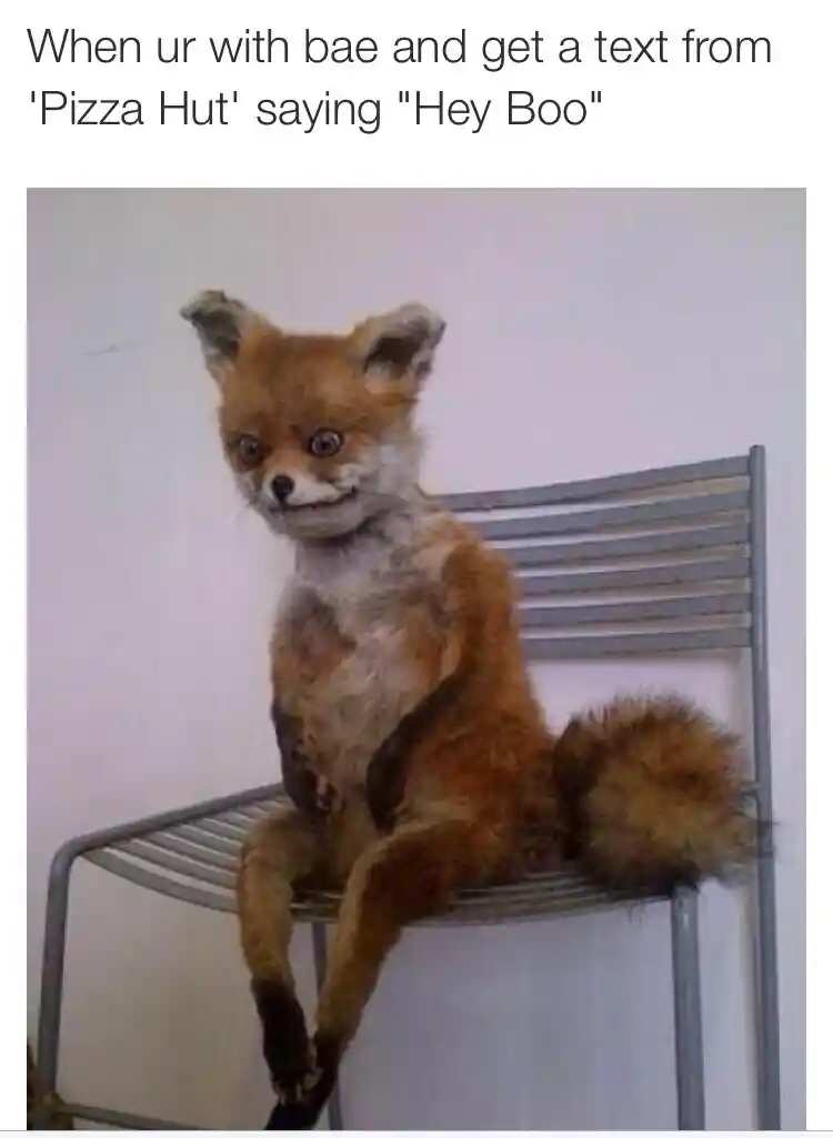 Awkward fox meme panics at Pizza Hut msg