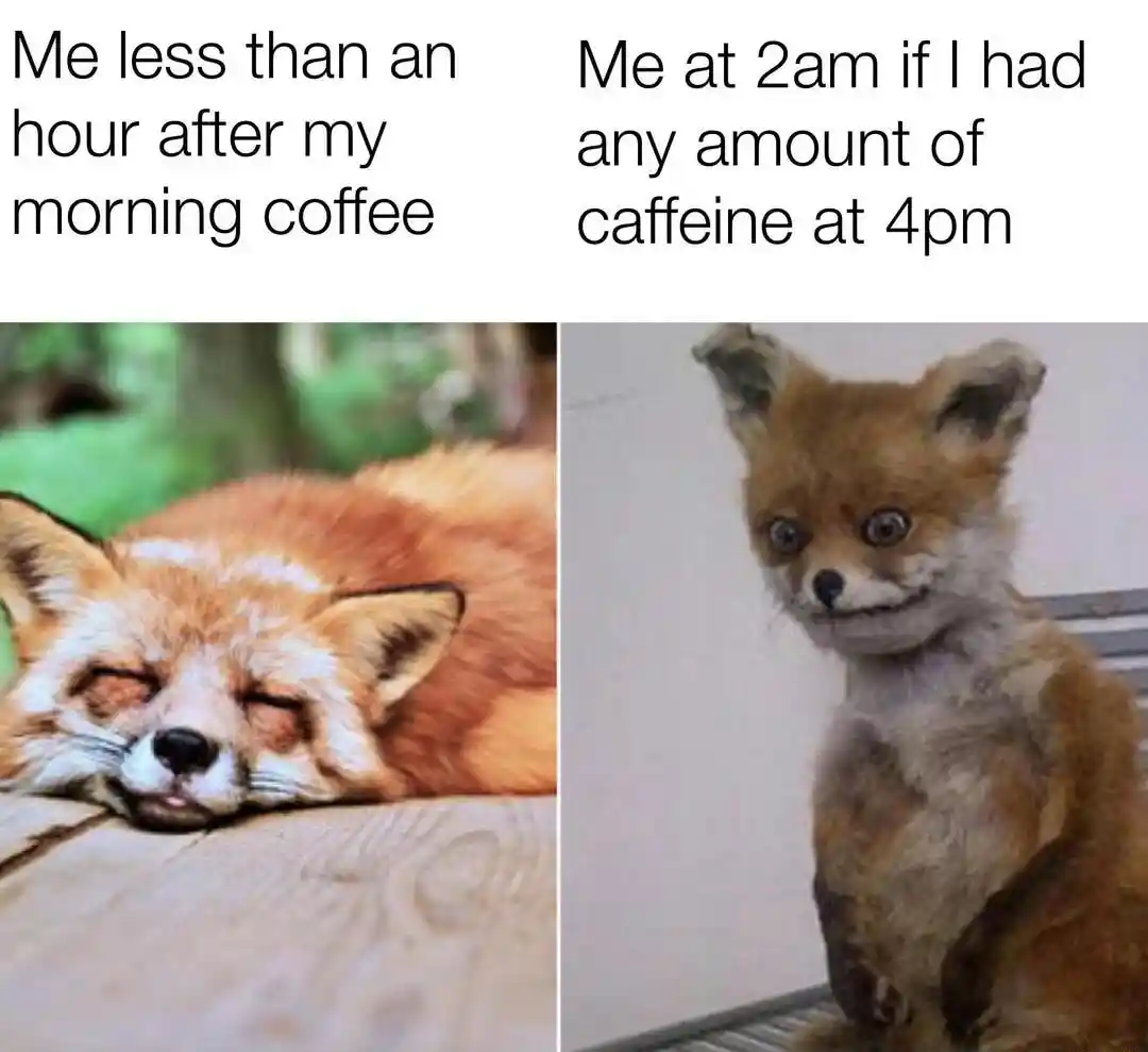 Awkward fox meme tired after coffee at 2am
