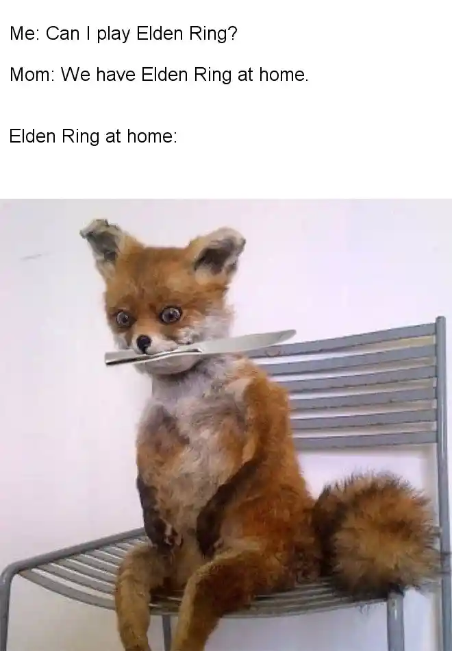 Awkward fox meme with knife elden ring