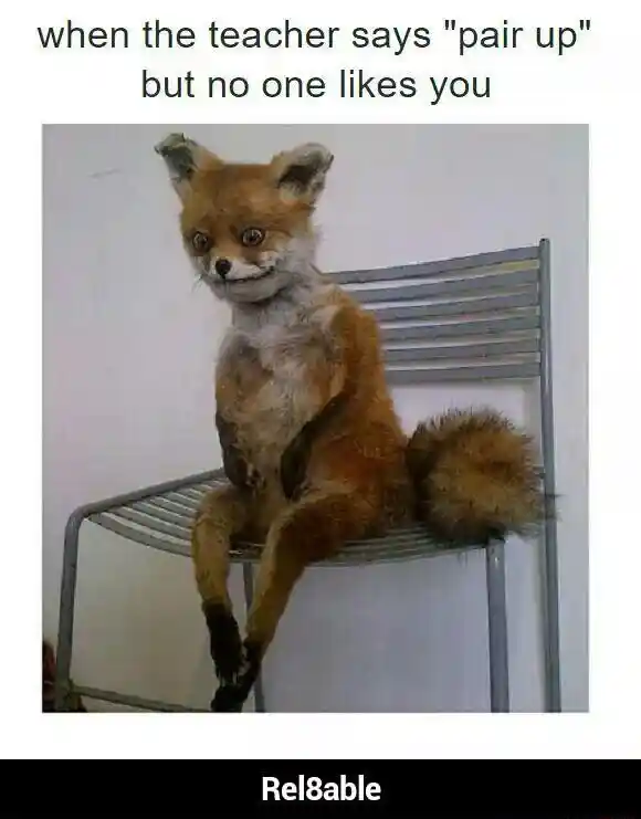 Awkward fox meme waits alone for pair up