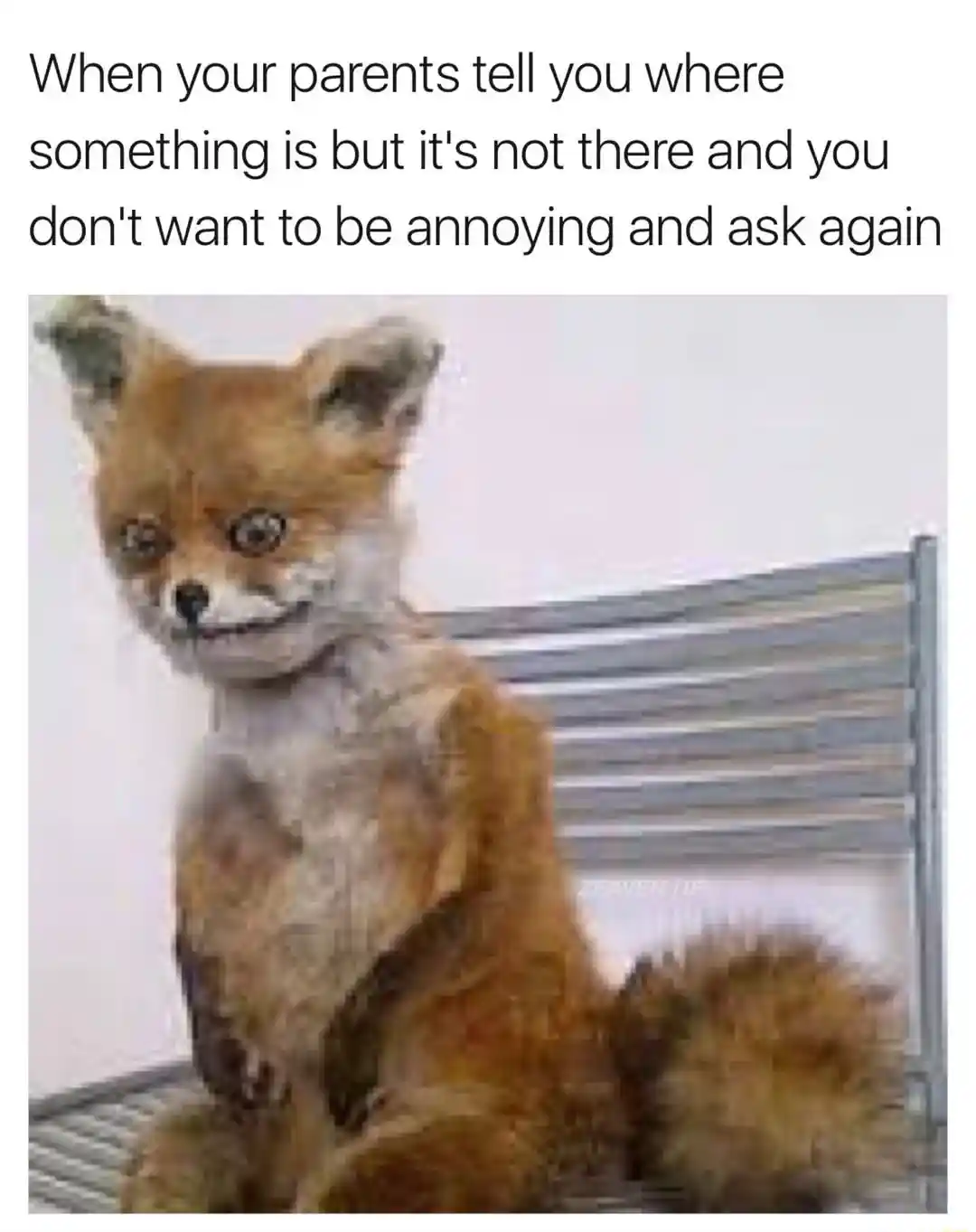 Awkward fox meme forcing awkward smile