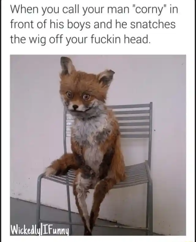 Awkward fox meme stunned by wig snatch