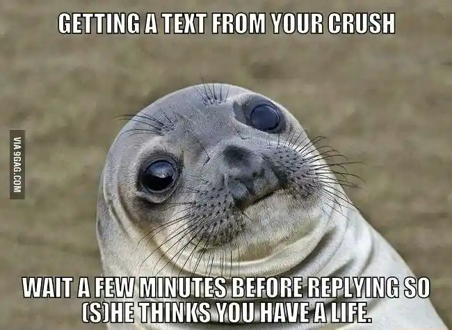 Awkward moment seal meme reply late to crush text