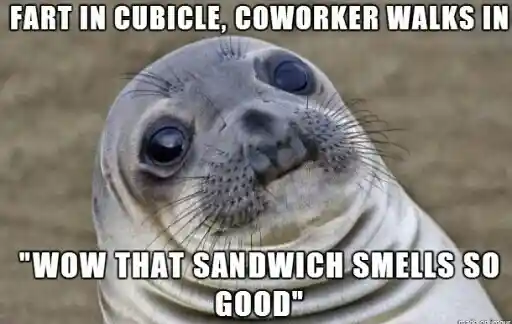 Awkward moment seal meme blame fart on sandwich at work