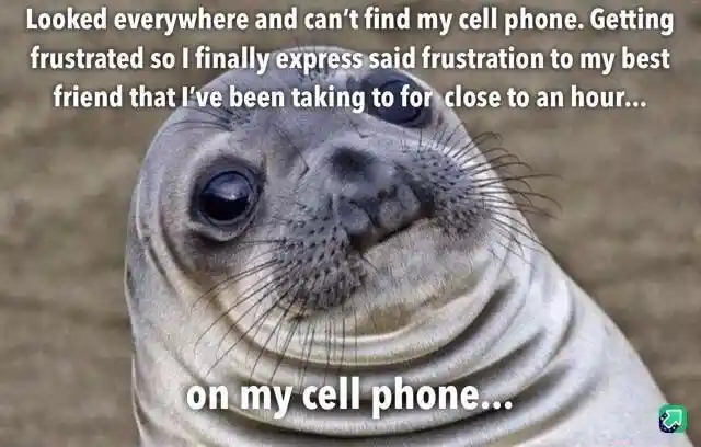 Awkward moment seal meme talk on your lost phone