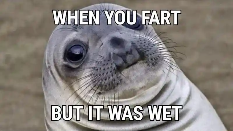 Awkward moment seal meme fart but it is wet uneasy