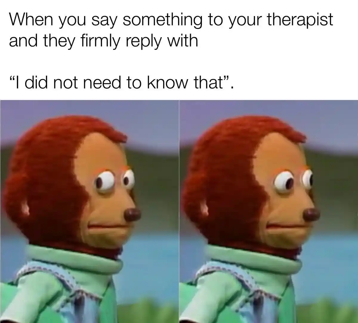 Awkward monkey puppet meme awkward overshare to therapist