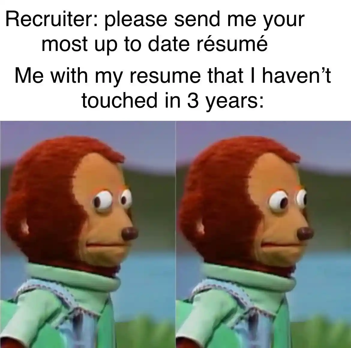 Awkward monkey puppet meme hiding old resume from recruiter