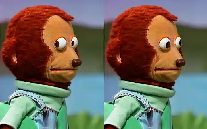 Awkward monkey puppet meme template