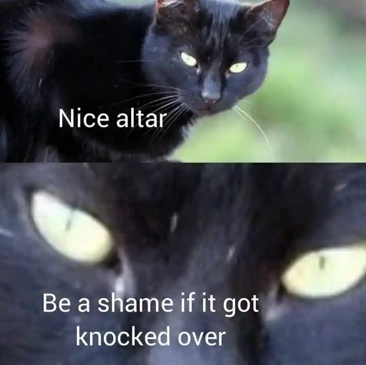 Black cat altar meme about to knock over