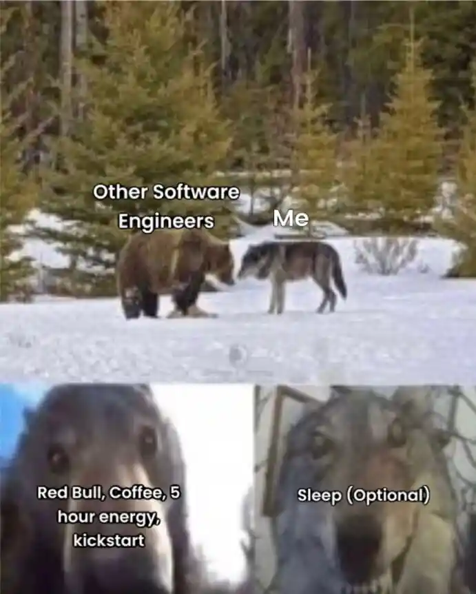 Bear and wolf staring meme software engineers run on coffee no sleep