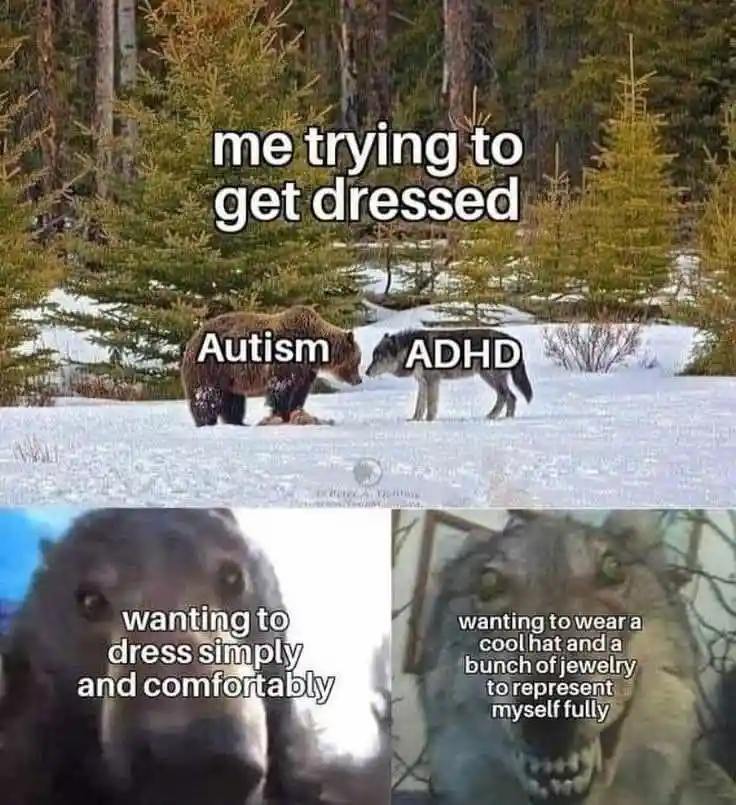Bear and wolf staring meme autism adhd conflicting over getting dressed