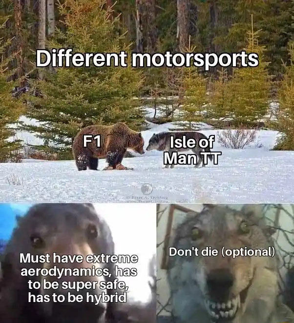 Bear and wolf staring meme comparing different motorsports
