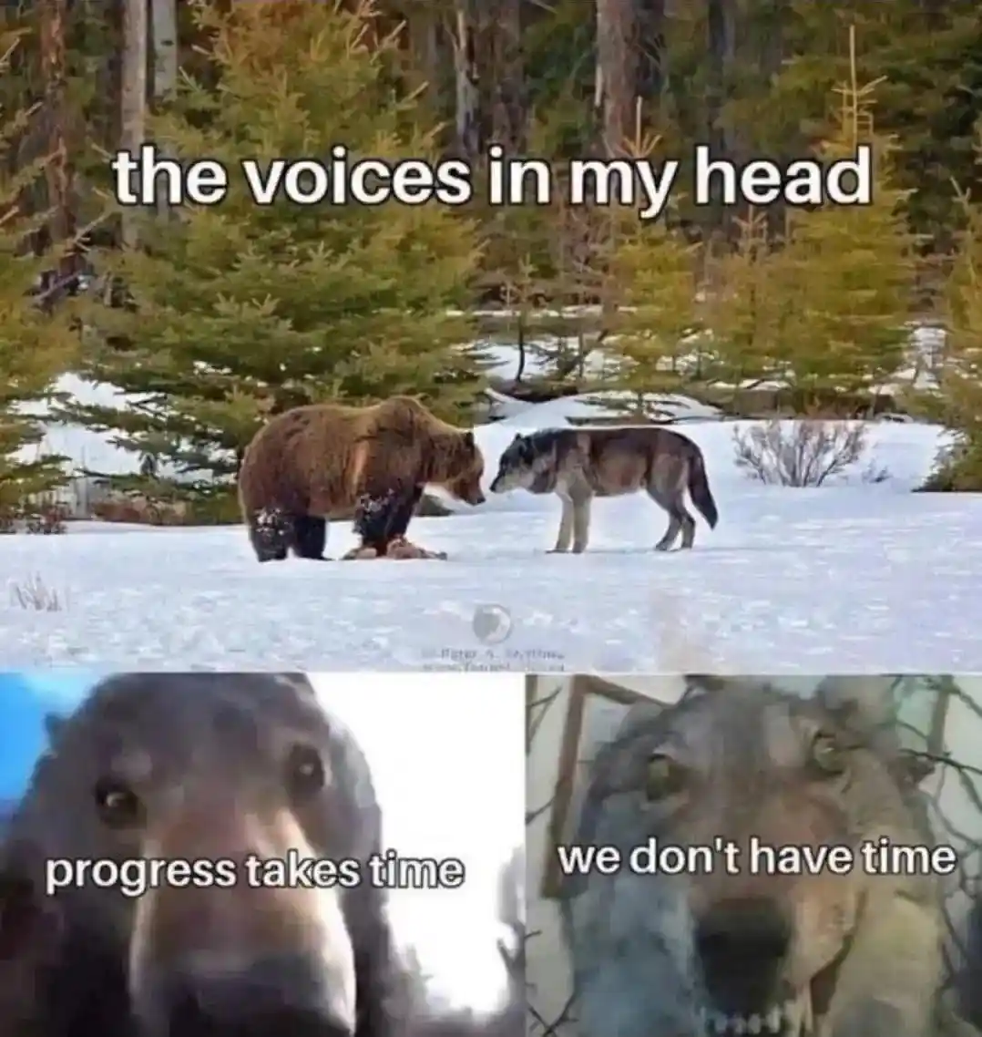 Bear and wolf staring meme Conflicting inner voices