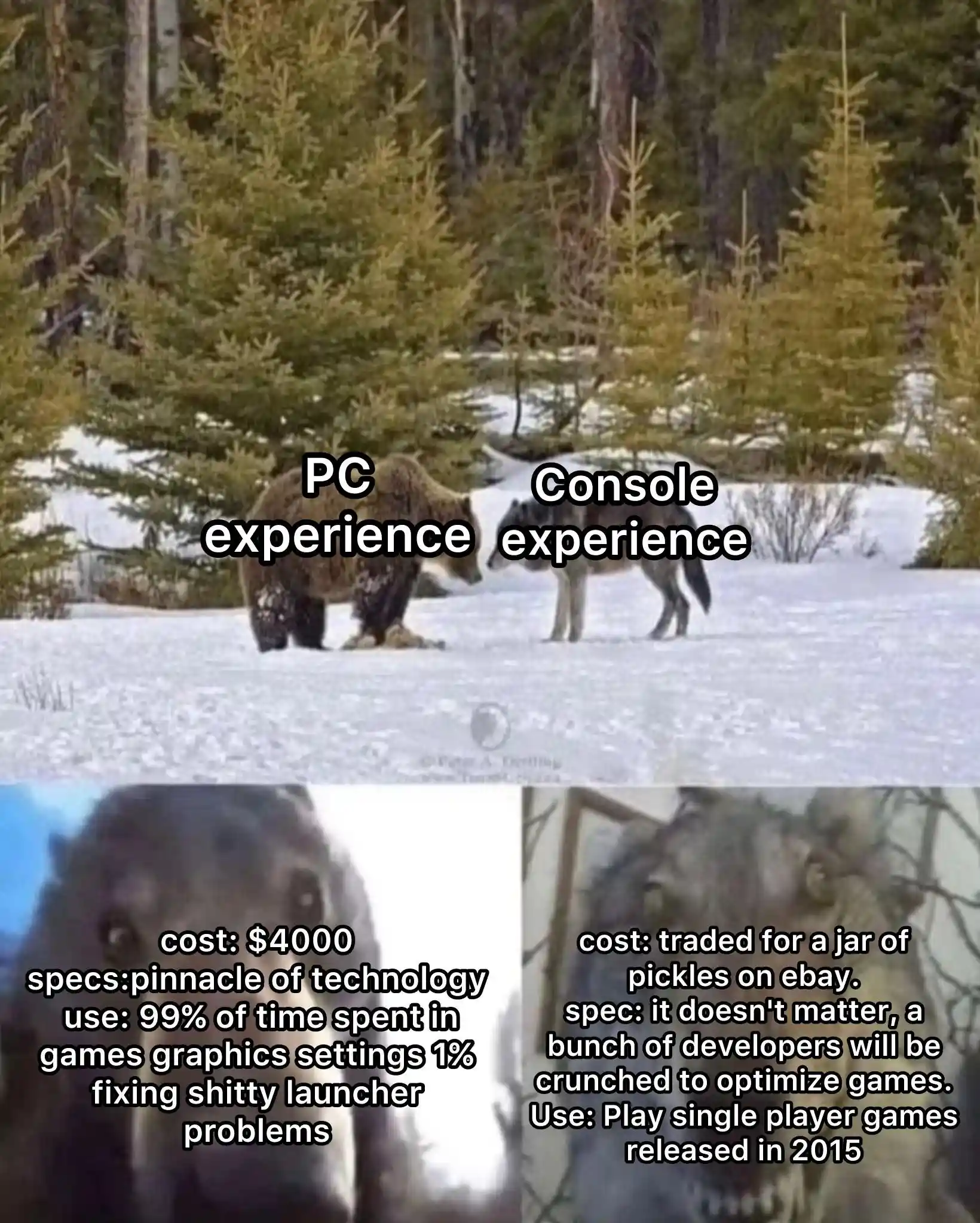 Bear and wolf staring meme compare pc console gaming experience