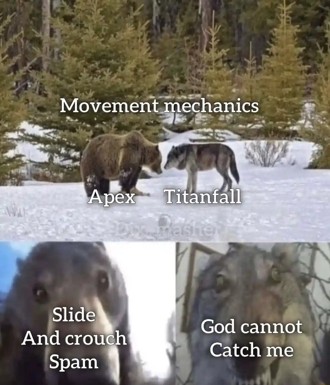 Bear and wolf staring meme show apex titanfall joke