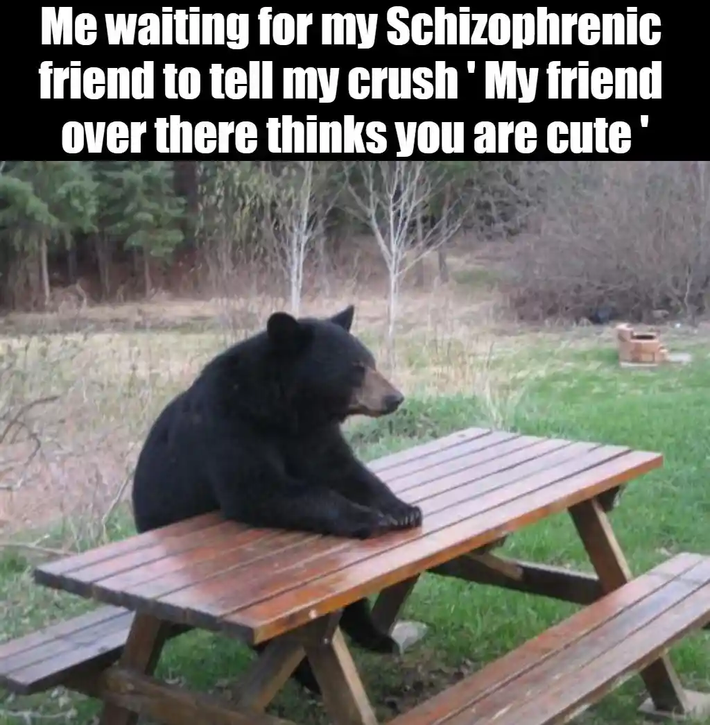 Bear waiting meme wait for friend to tell crush