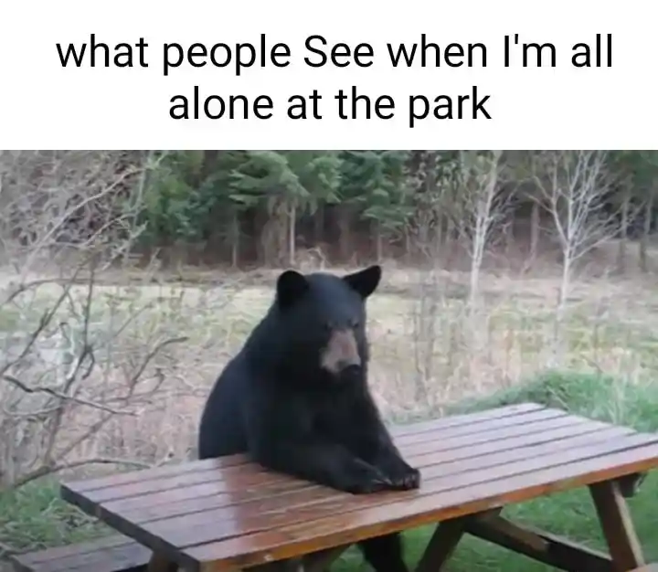 Bear waiting meme sitting alone at park
