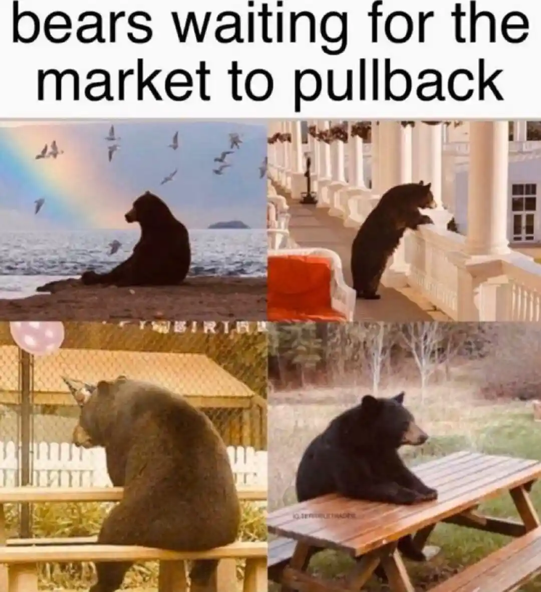Bear waiting meme for market pullback