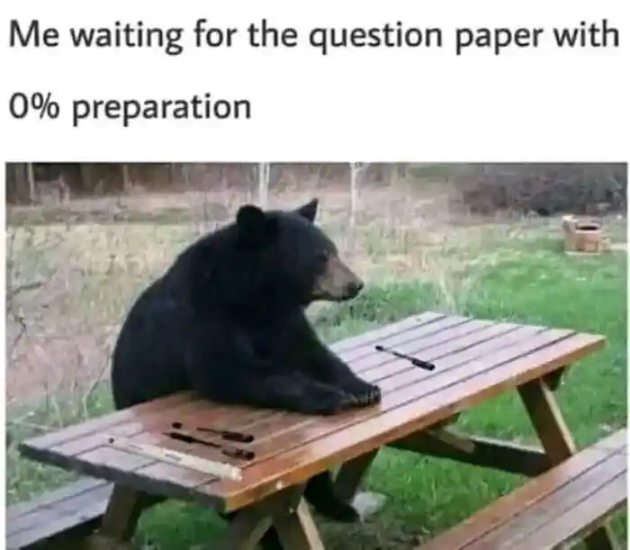 Bear waiting meme waiting for exam paper no prep
