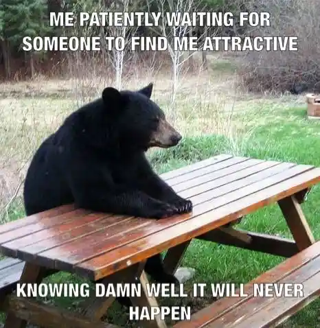 Bear waiting meme waiting for attraction