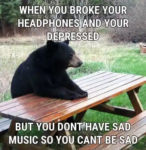Bear waiting meme sad no music broke headphones