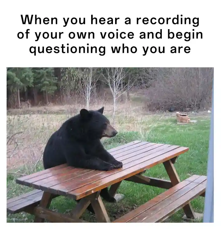 Bear waiting meme confused by own voice