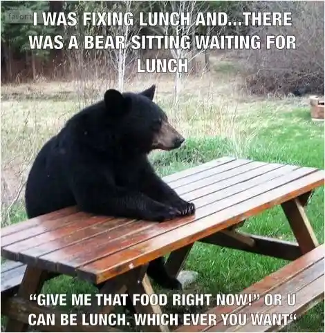 Bear waiting meme demanding your lunch
