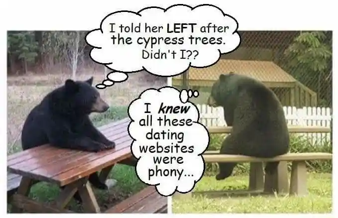 Bear waiting meme waiting for lost date