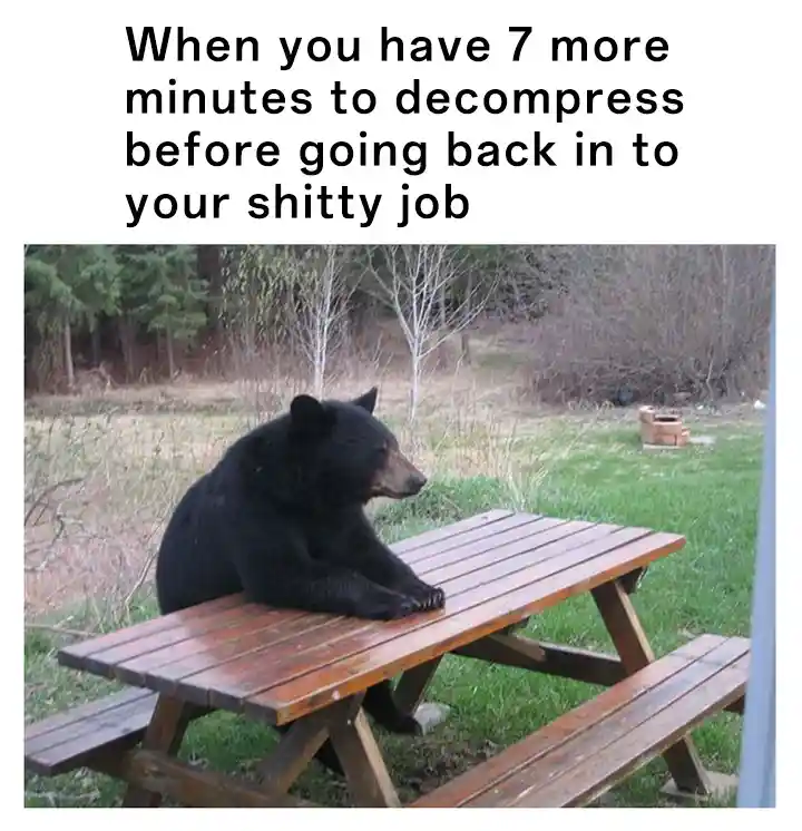 Bear waiting meme enjoying pre work rest