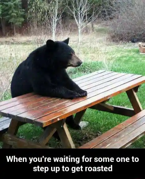 Bear waiting meme waiting for people to get roasted
