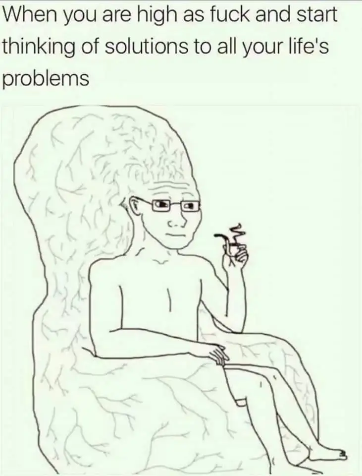 Big brain wojak meme thinking of life fixes when high