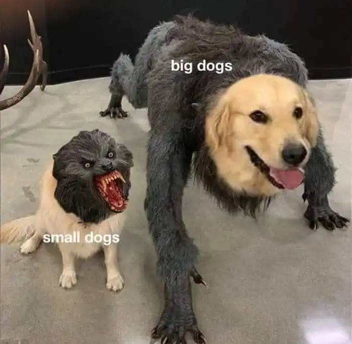 Small big dogs meme funny swap