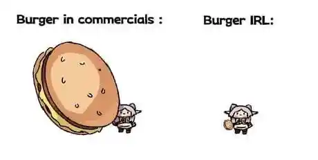 Burger ad vs irl meme showing size gap