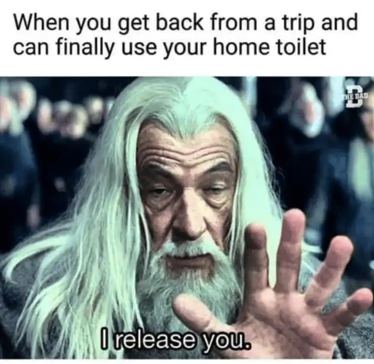 Home toilet after trip meme full relief
