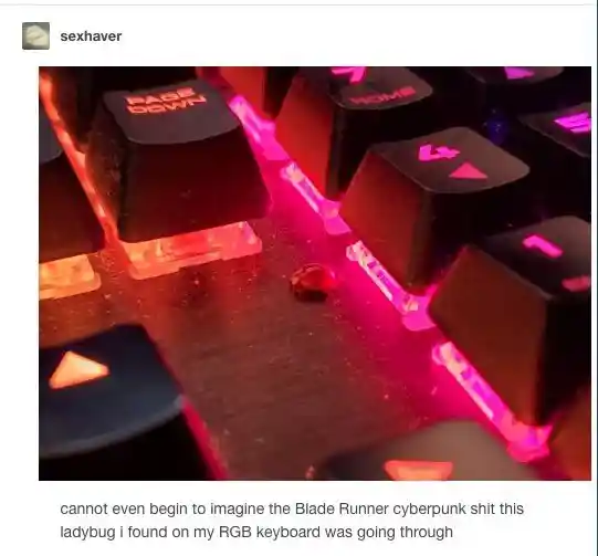 Ladybug rgb keyboard meme cyberpunk vibe